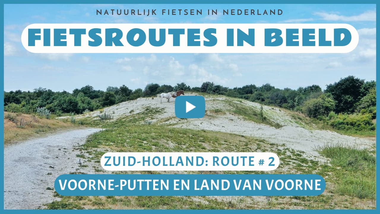 Virtueel fietsen in Voorne-Putten en het Land van Voorne