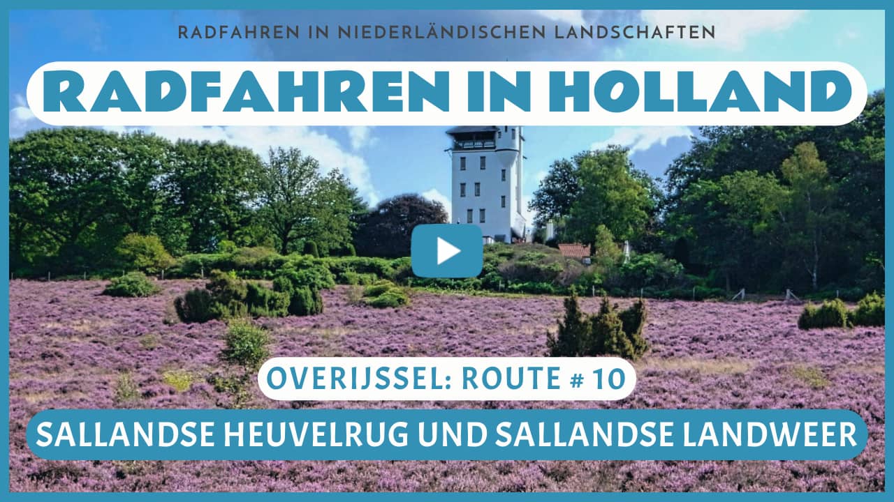 Virtuelles Radfahren in der Sallandse Heuvelrug und den Sallandse Landweer