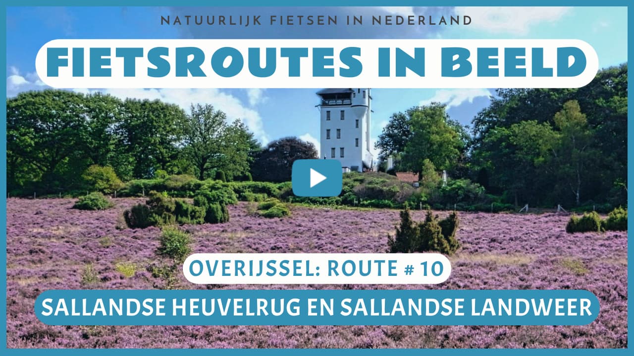 Virtueel fietsen door de Sallandse Heuvelrug en de Sallandse Landweer