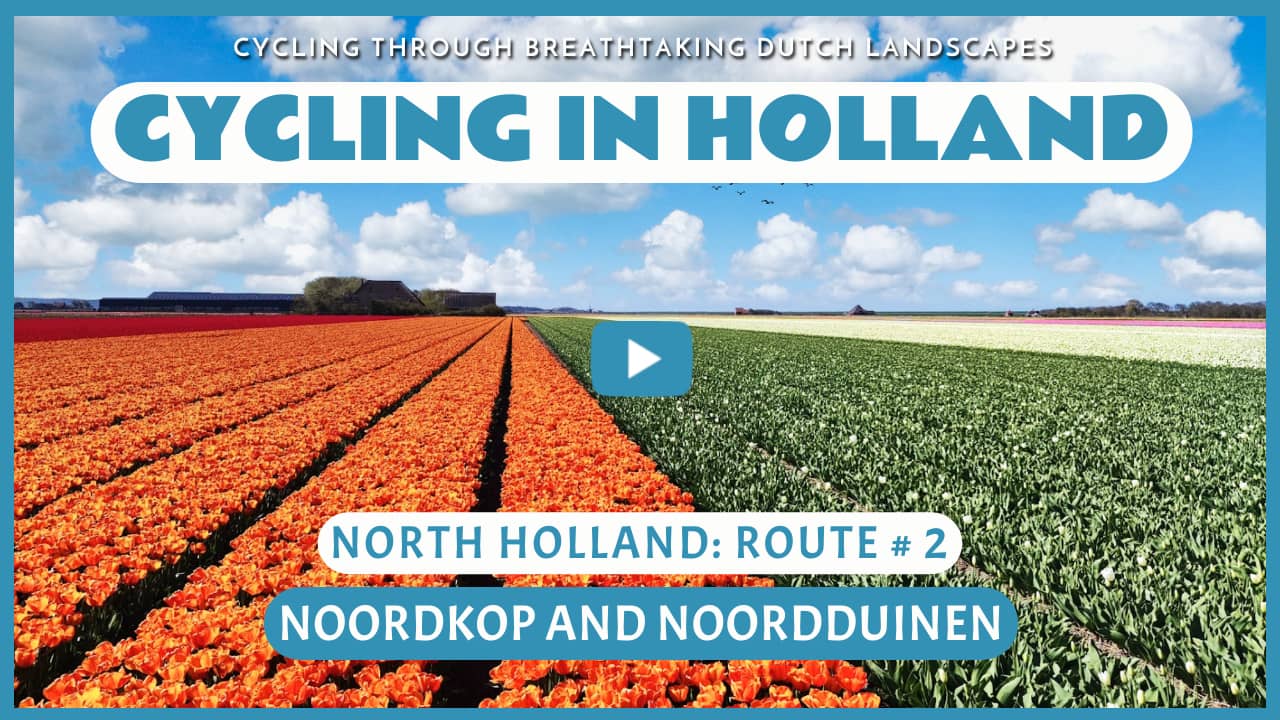 Virtual cycling through the Noordkop and Noordduinen