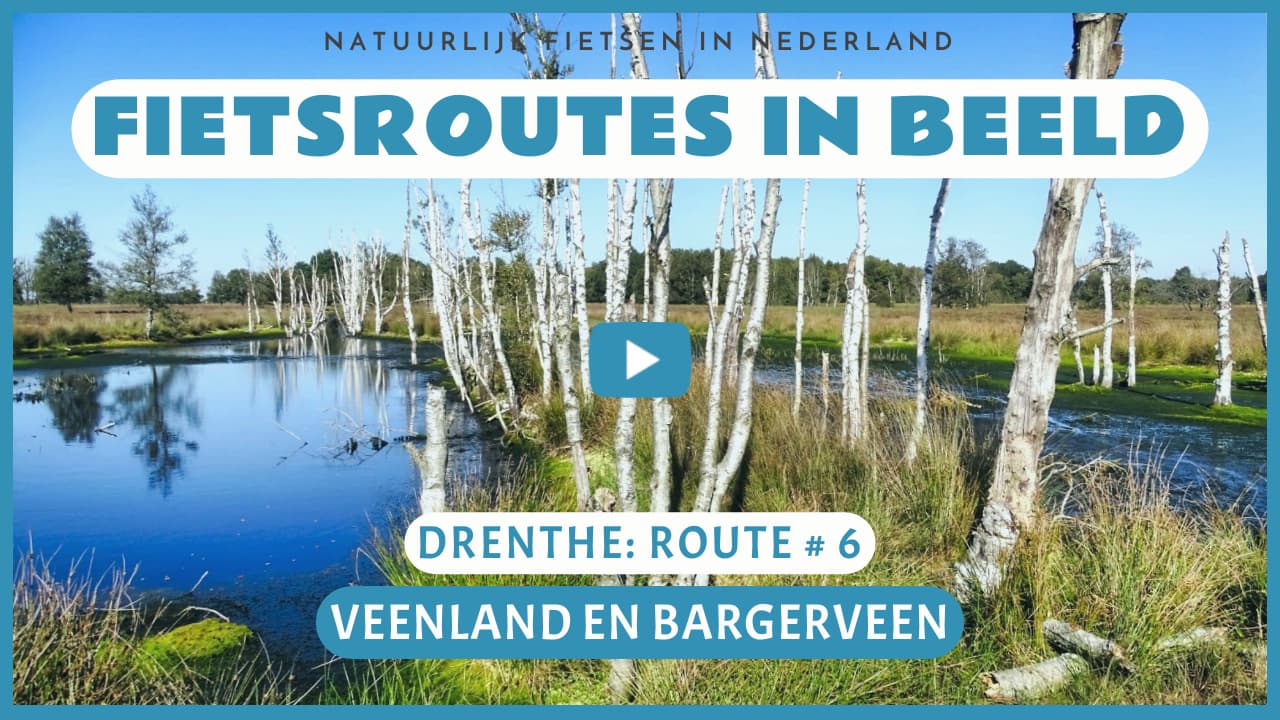 Virtueel fietsen door het Veenland en het Bargerveen