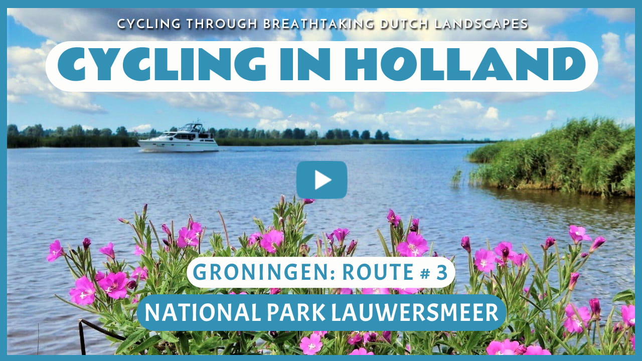 Virtual cycling through the National Park Lauwersmeer