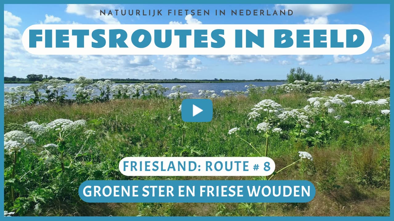 Virtueel fietsen door de Groene Ster en de Friese Wouden