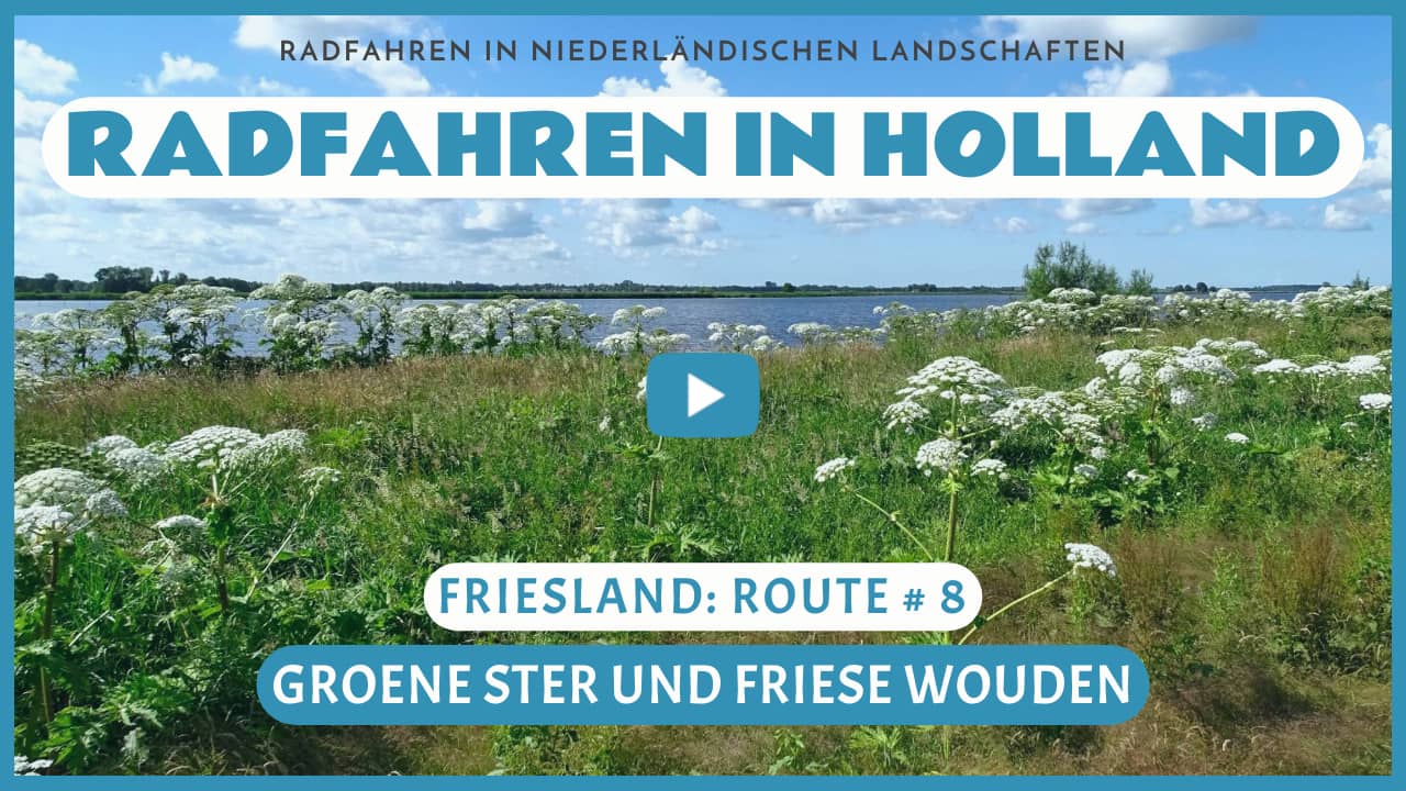 Virtuelles Radfahren durch die Groene Ster und die Friese Wouden