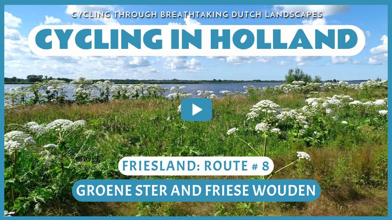 Virtual cycling through the Groene Ster and the Friese Wouden