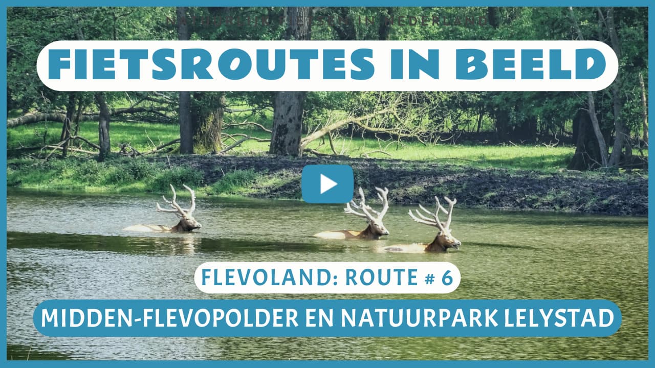 Virtueel fietsen in Midden-Flevopolder en Natuurpark Lelystad