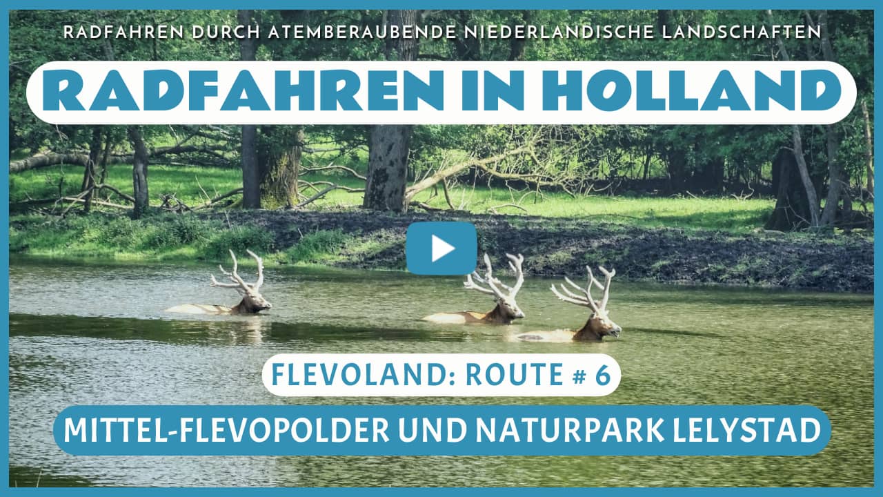 Virtuelles Radfahren in Mittel-Flevopolder und Naturpark Lelystad