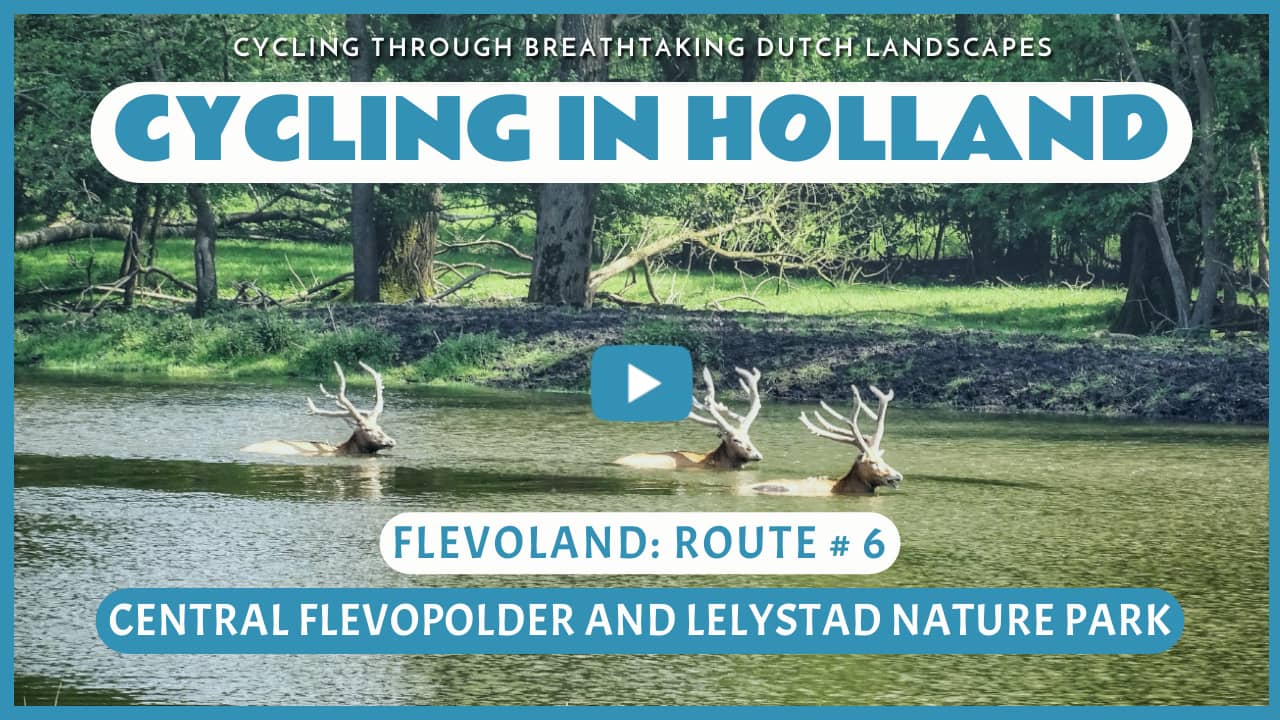 Virtual cycling in Midden-Flevopolder and Natuurpark Lelystad