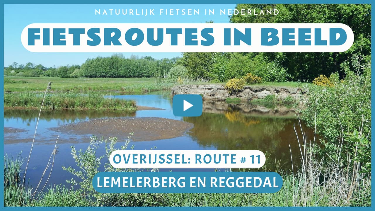 Virtueel fietsen op de Lemelerberg en door het Reggedal