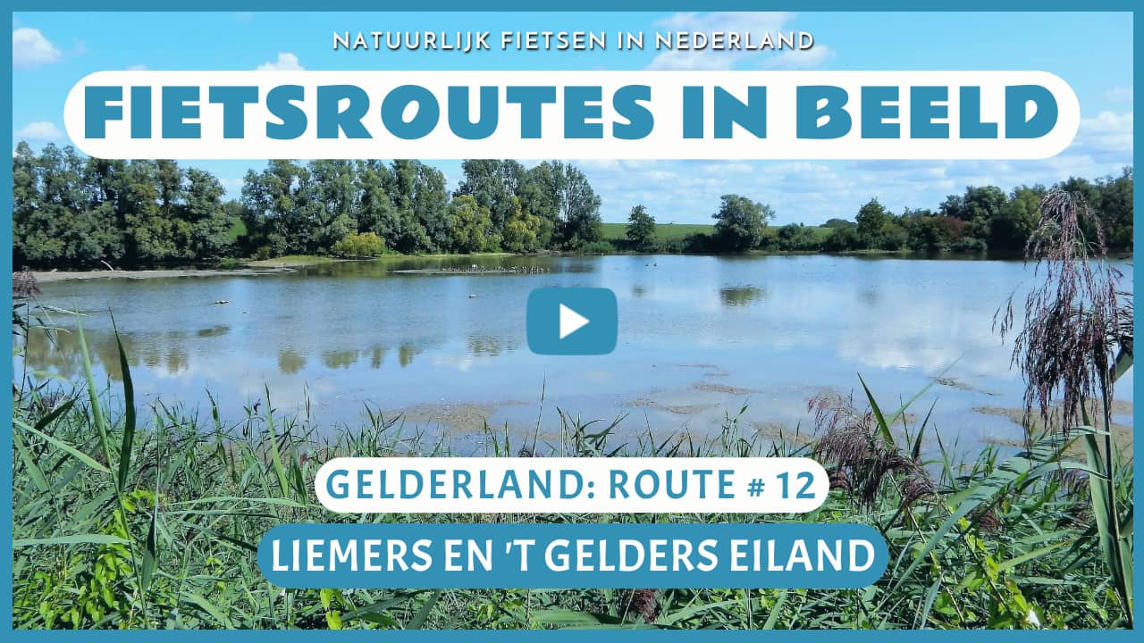 Virtueel fietsen in de Liemers en 't Gelders Eiland