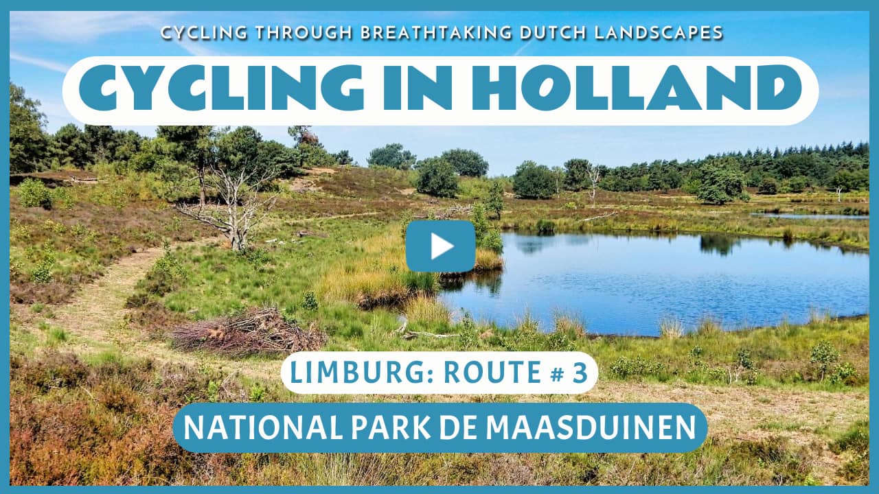 Virtual cycling through National Park De Maasduinen