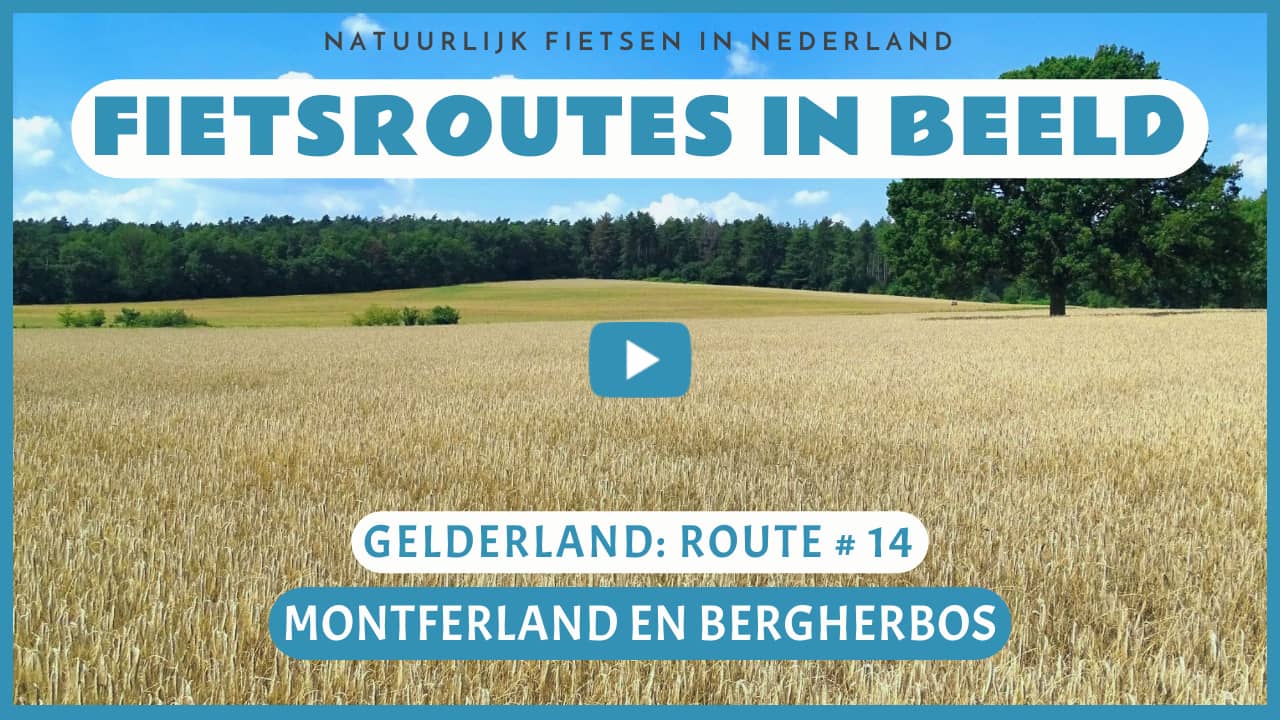 Virtueel fietsen door het Montferland en het Bergerbos