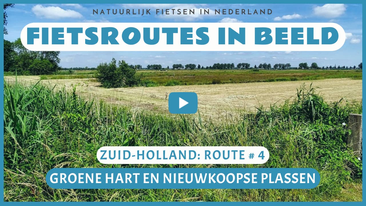 Virtueel fietsen door het Groene Hart en de Nieuwkoopse Plassen