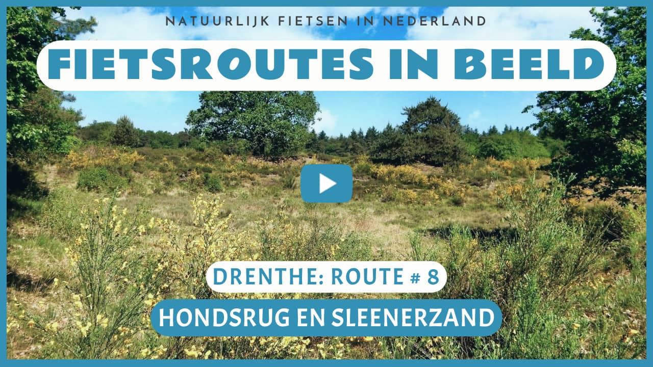 Virtueel fietsen door de Hondsrug en het Sleenerzand