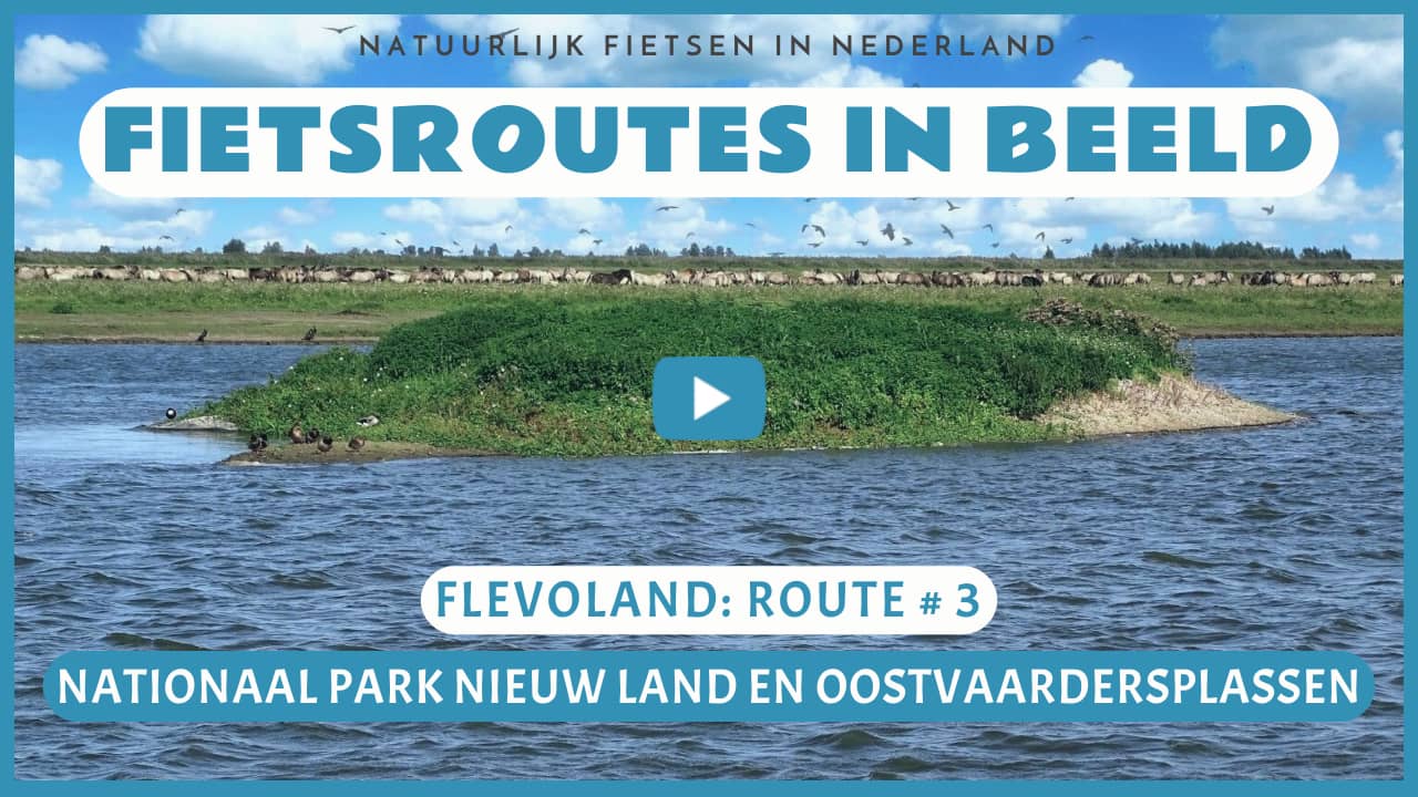 Virtueel fietsen door het Nationaal Park Nieuw Land en de Oostvaardersplassen