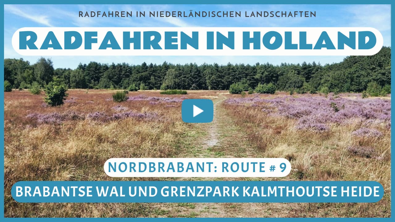 Virtuelles Radfahren in der Brabantse Wal und im Grenzpark Kalmthoutse Heide