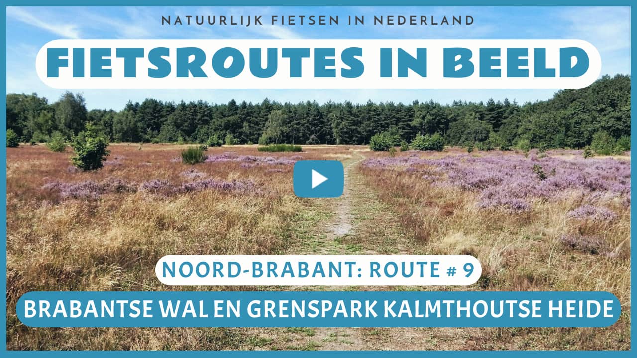 Virtueel fietsen door de Brabantse Wal en het Grenspark Kalmthoutse Heide