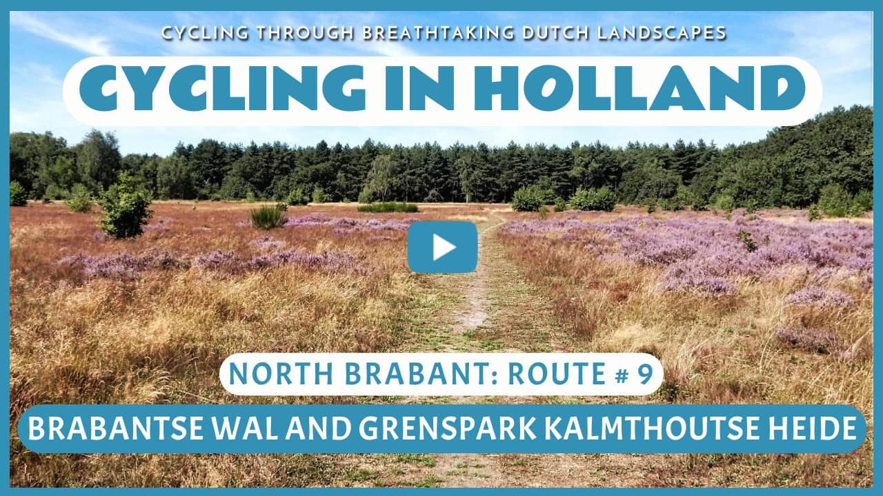 Virtual cycling through the Brabantse Wal and the Kalmthoutse Heide
