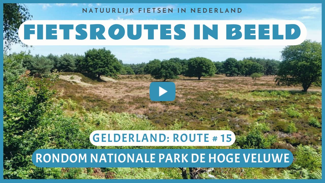 Virtueel fietsen rondom Nationale Park Hoge Veluwe