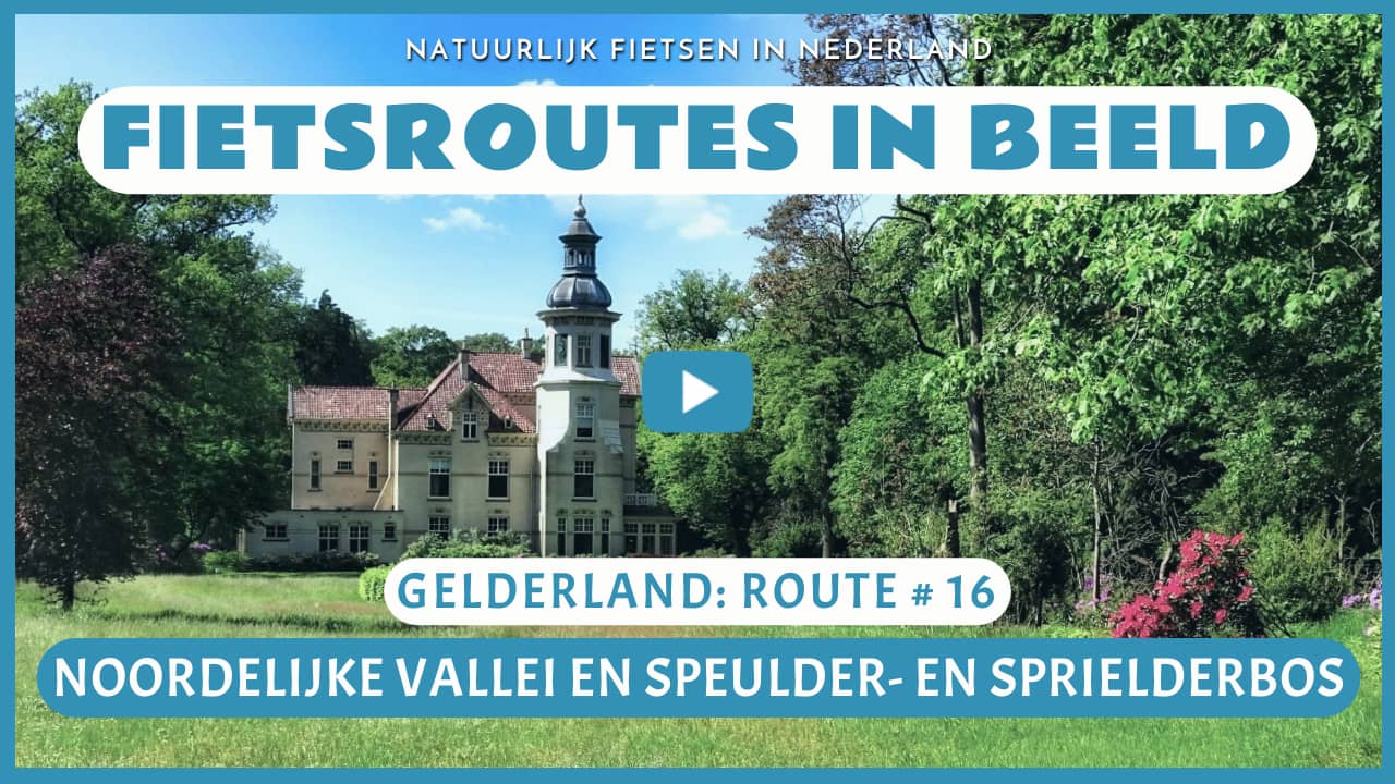 Virtueel fietsen in de Noordelijke Vallei en het Speulder- en Sprielderbos