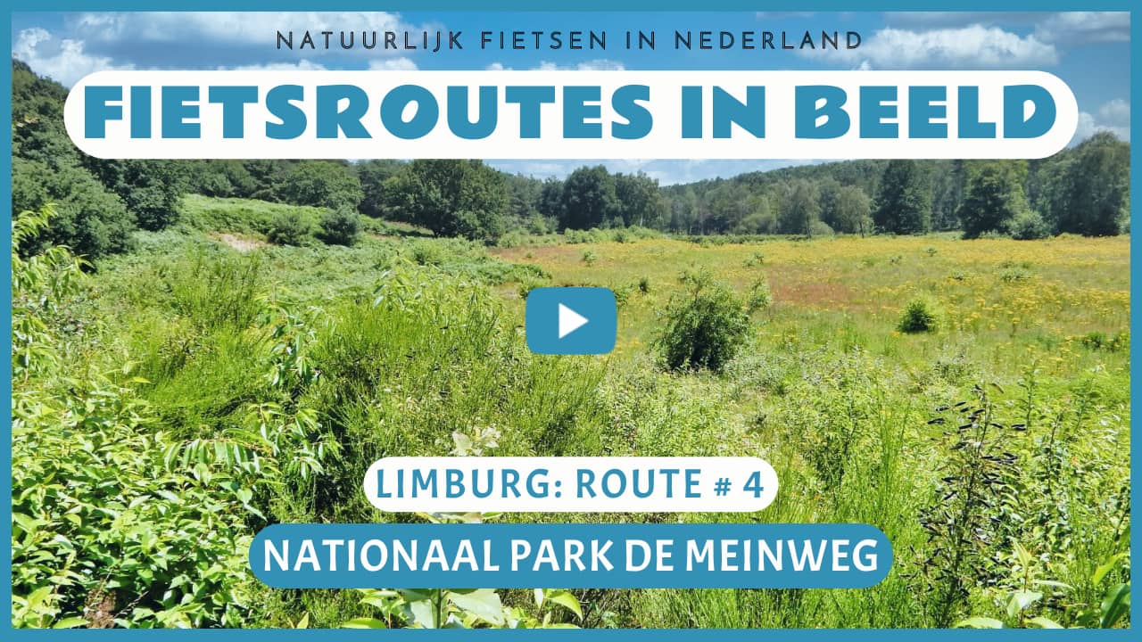 Virtueel fietsen in het Nationaal Park De Meinweg