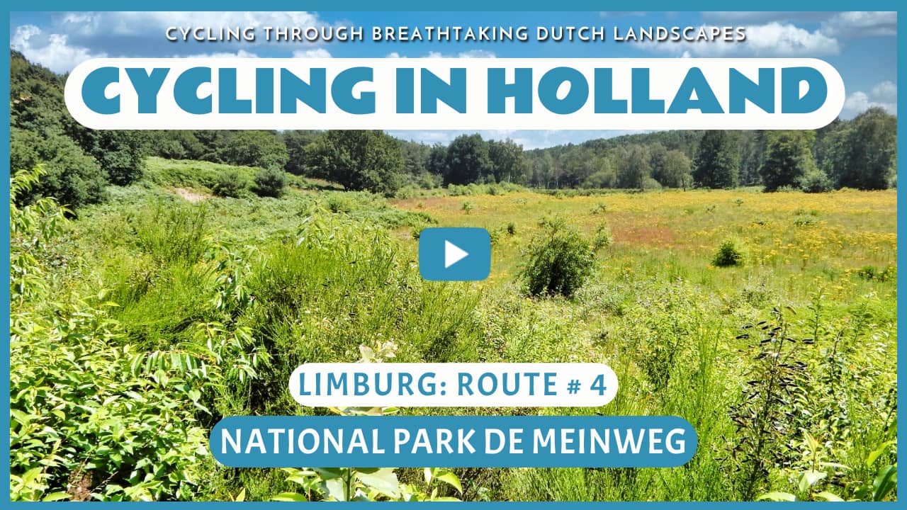 Virtual cycling in National Park De Meinweg