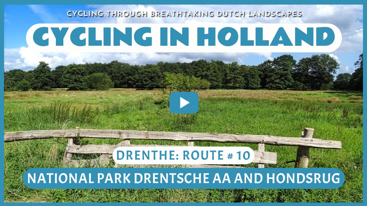 Virtual cycling through the National Park Drentsche Aa and the Hondsrug