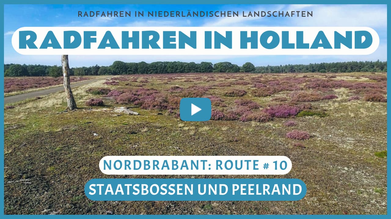 Virtuelles Radfahren durch die Staatsbossen und den Peelrand