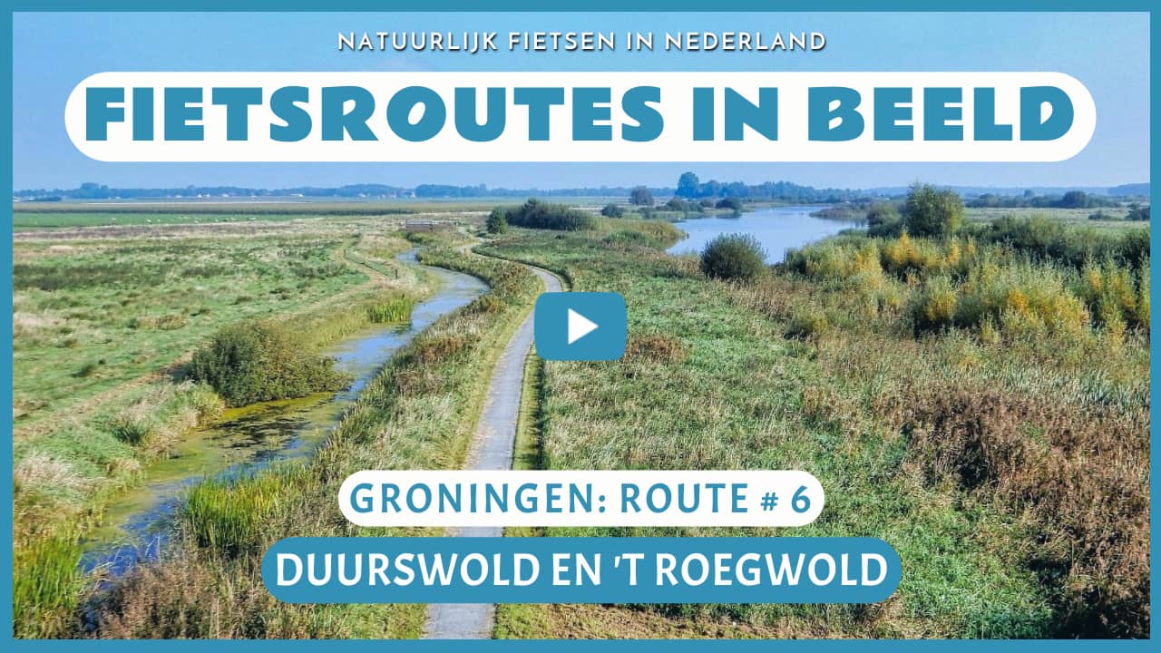 Virtueel fietsen door Duurswold en 't Roegwold