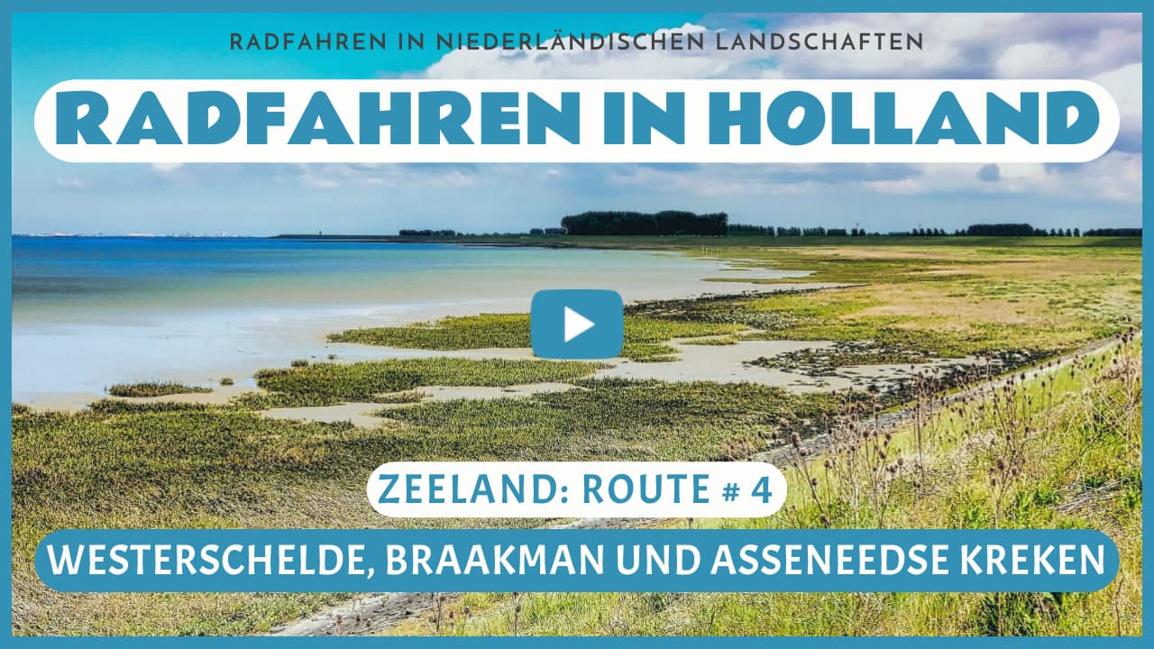 Virtuelles Radfahren entlang der Westerschelde, durch den Braakman und die Asseneedse Kreken