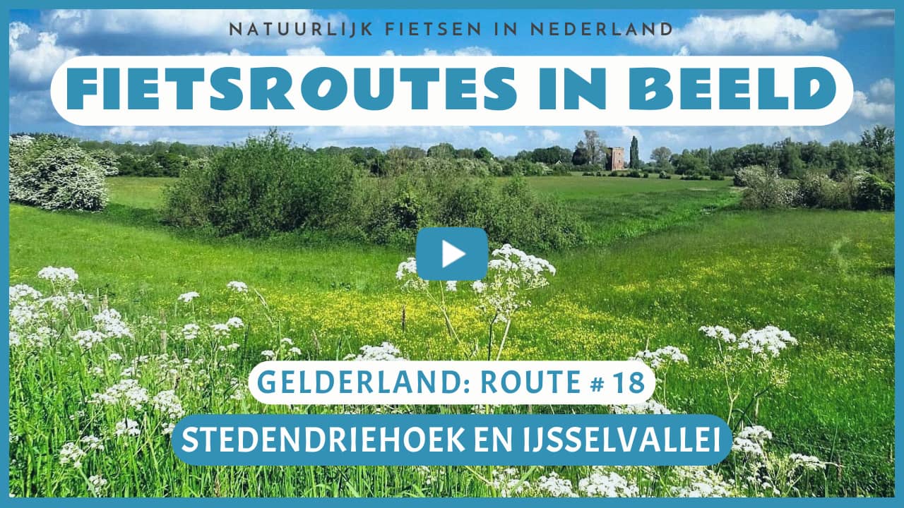 Virtueel fietsen door de Stedendriehoek en de IJsselvallei