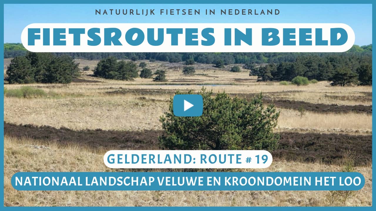 Virtueel fietsen door het Nationaal Landschap Veluwe en het Kroondomein Het Loo