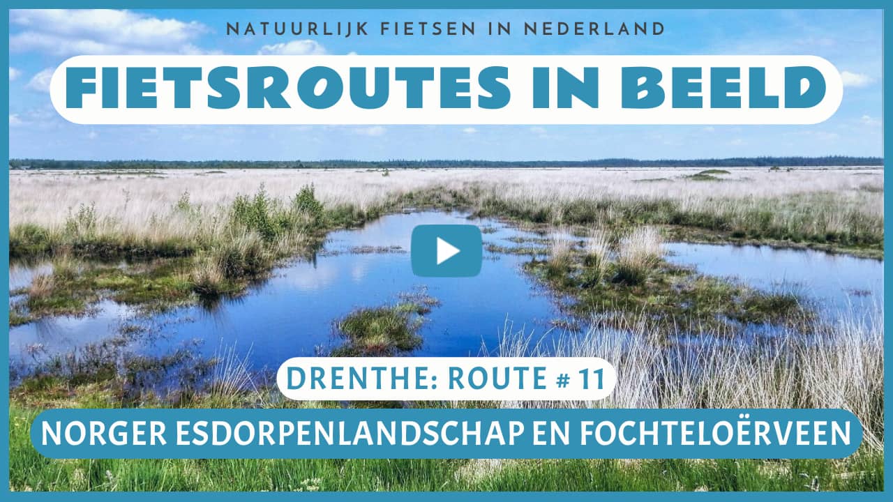 Virtueel fietsen door het Norger Esdorpenlandschap en het Fochteloërveen