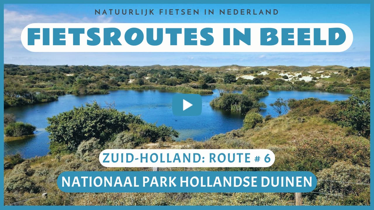 Virtueel fietsen door het Nationaal Park Hollandse Duinen