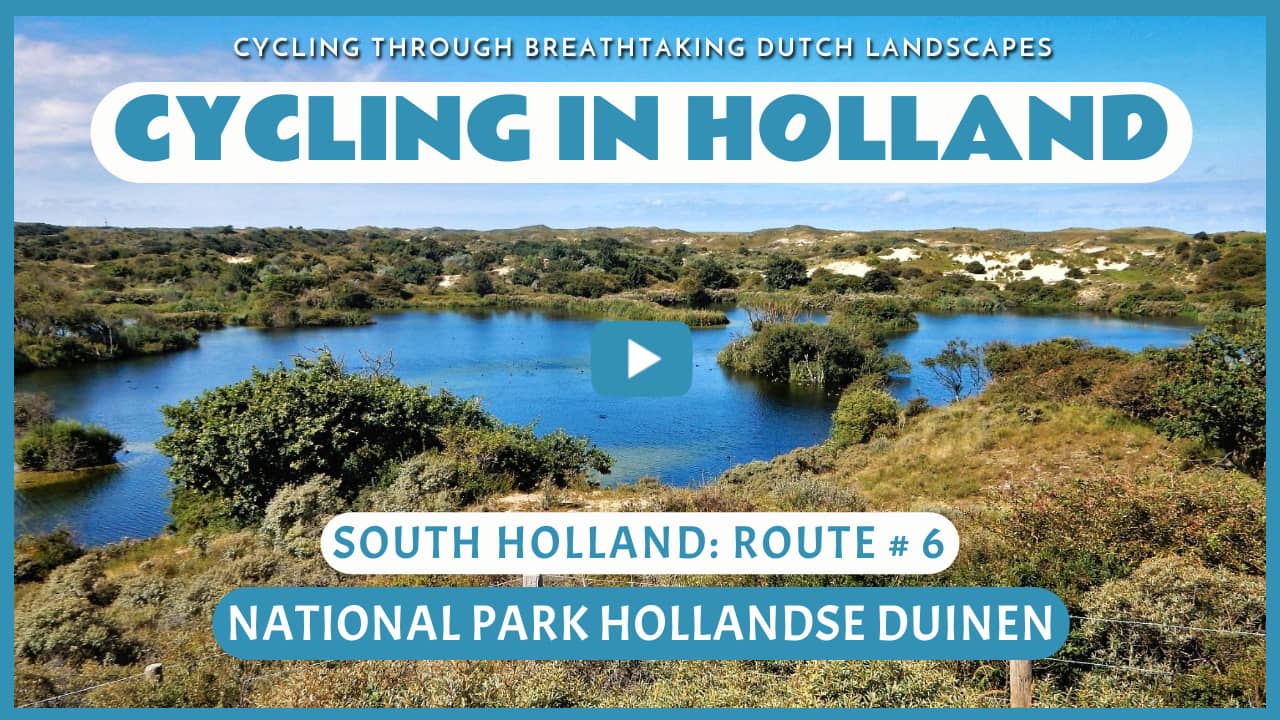 Virtual cycling through the National Park Hollandse Duinen