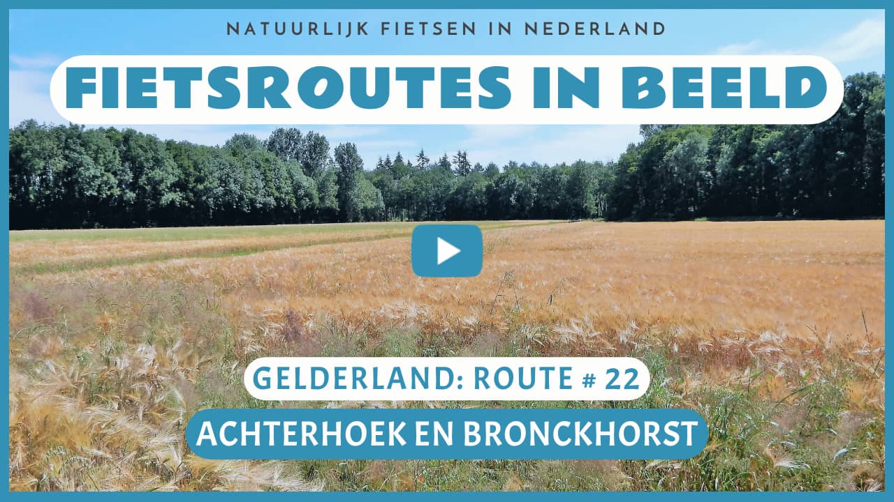 Virtueel fietsen in de Achterhoek en Bronckhorst