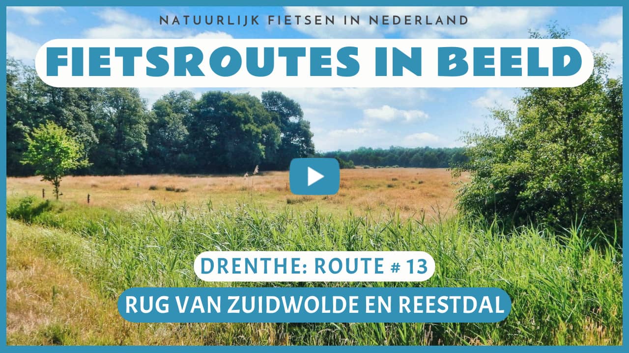 Virtueel fietsen door de Rug van Zuidwolde en het Reestdal